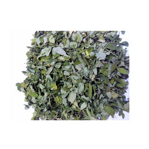 NATURAL MORINGA DRIED LEAVES AND POWDER HIGH QUALITY FOR TEA FROM VIET NAM