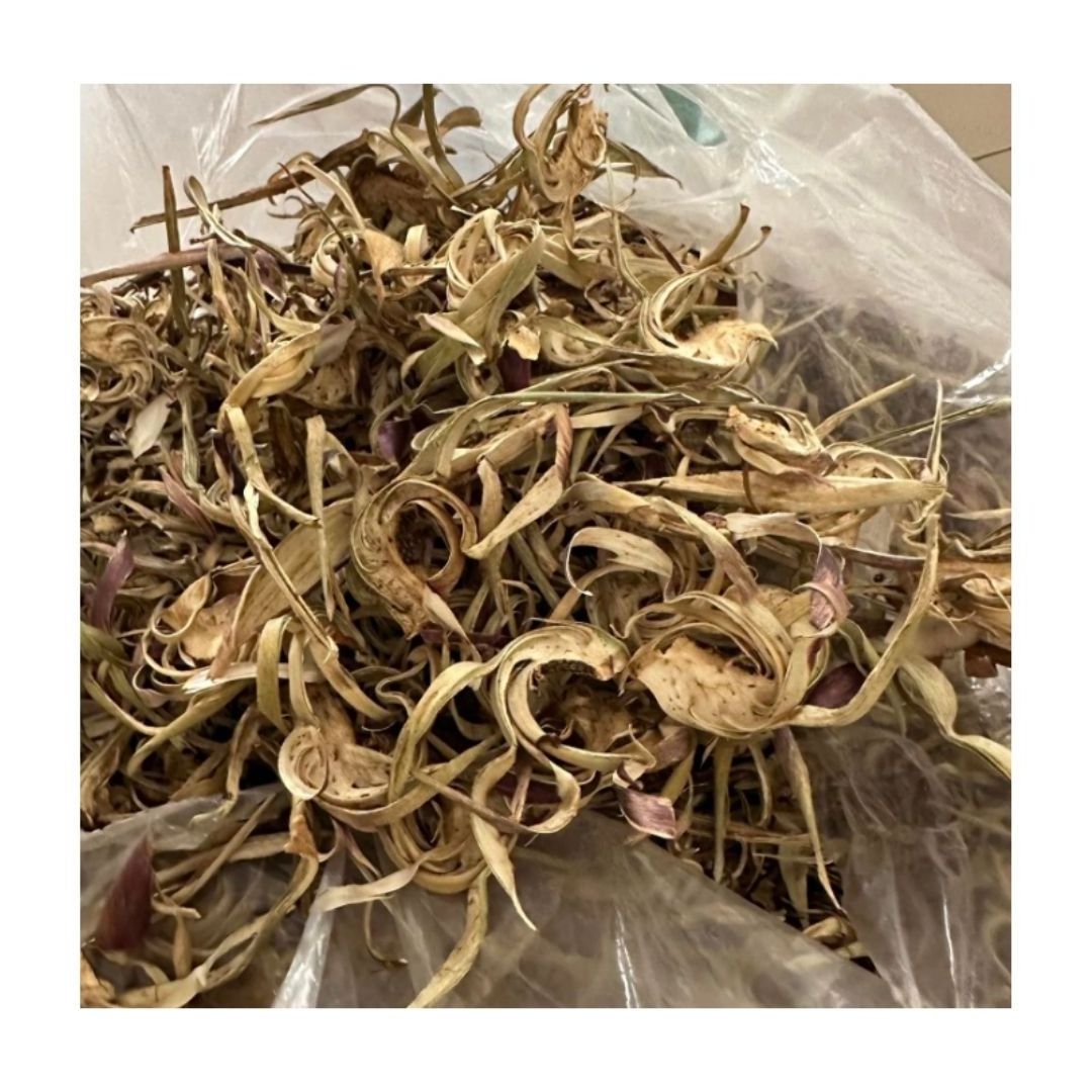 SUN DRIED ARTICHOKE 2024 Dried Artichoke Good Benefit To Health And Immune System be Used To Make Delicious Premium Tea