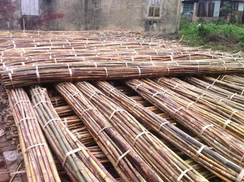 100% Nature Dry Straight Rattan Bamboo pole for sale- Wholesale 18mm to 50mm Polished Rattan Manau Cane Poles