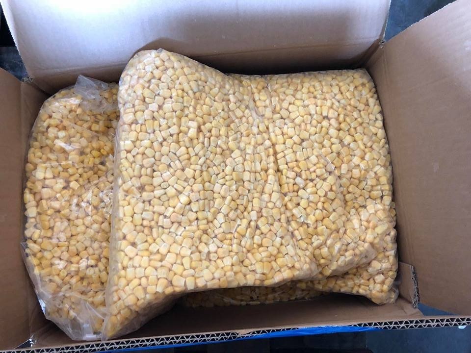 Yellow Corn Cob in Vacuum Packed Maize / Dried Sweet Fresh Corn Ready To Eat / Frozen Corn in bulk