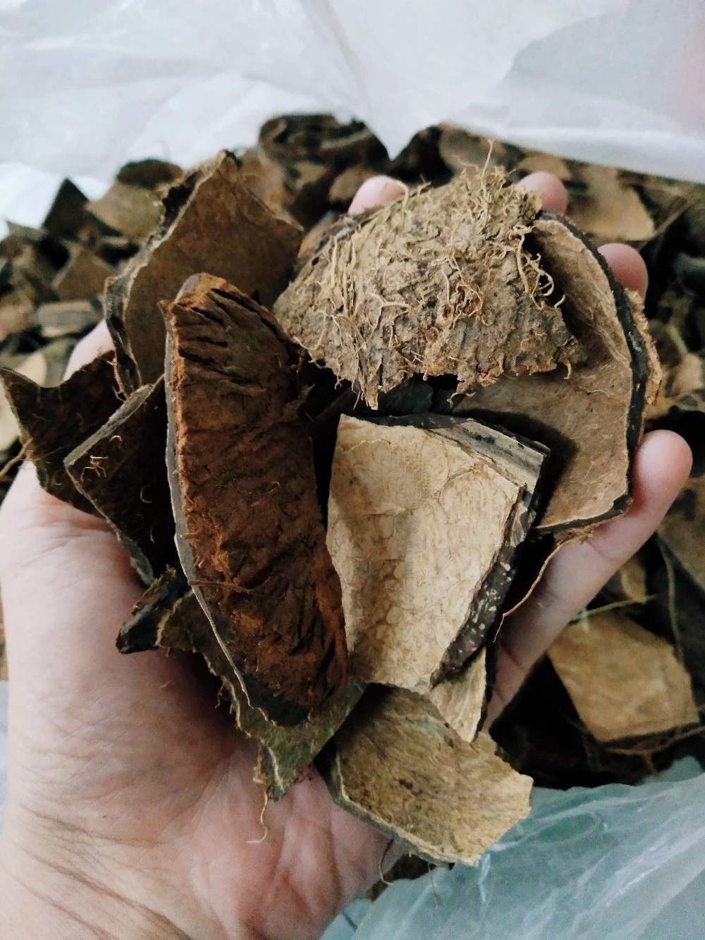 Material for charcoal/ CRUSHED COCONUT SHELL / COCONUT SHELL(Angelina WA: +84327746158)