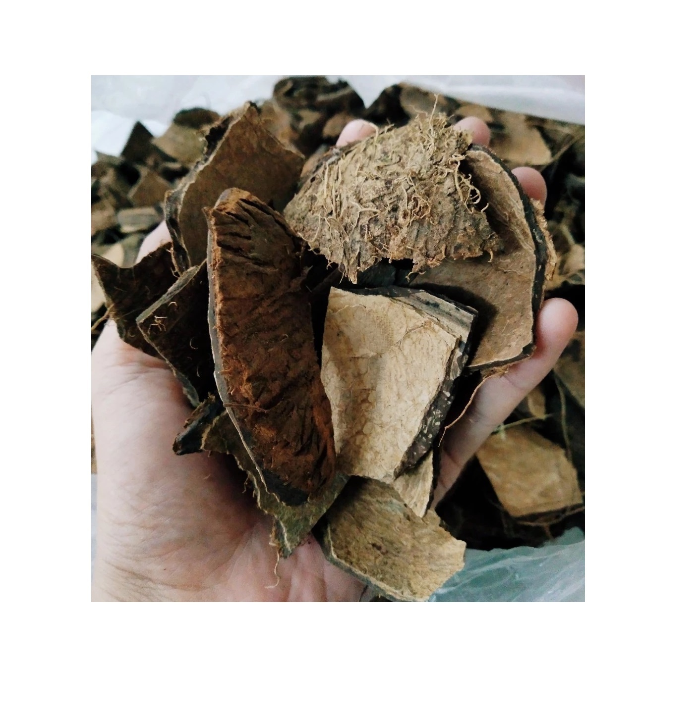 Material for charcoal/ CRUSHED COCONUT SHELL / COCONUT SHELL(Angelina WA: +84327746158)