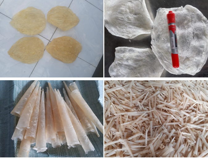 Dry Fish Maw Fish Glue Rich in Collagen Dried Seafood Fish Maw Roll Natural Sun Dried From South America A