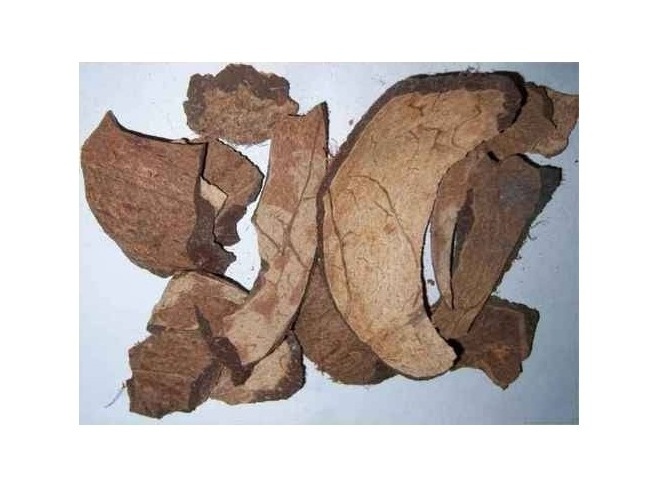 Top Selling Dried Coconut Shell For Making Charcoal With High Quality