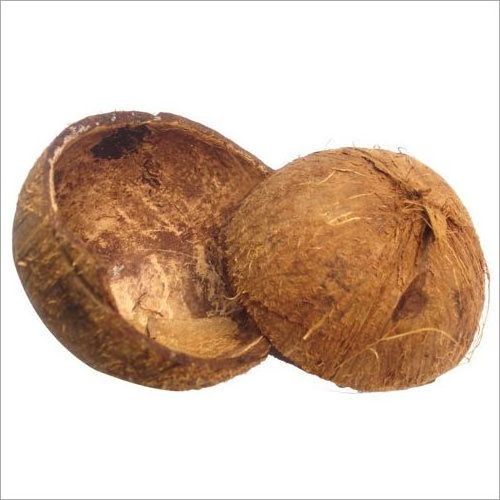 Top Selling Dried Coconut Shell For Making Charcoal With High Quality