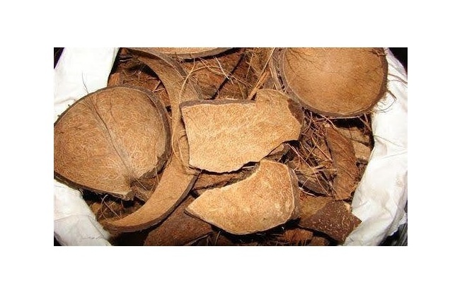 Top Selling Dried Coconut Shell For Making Charcoal With High Quality