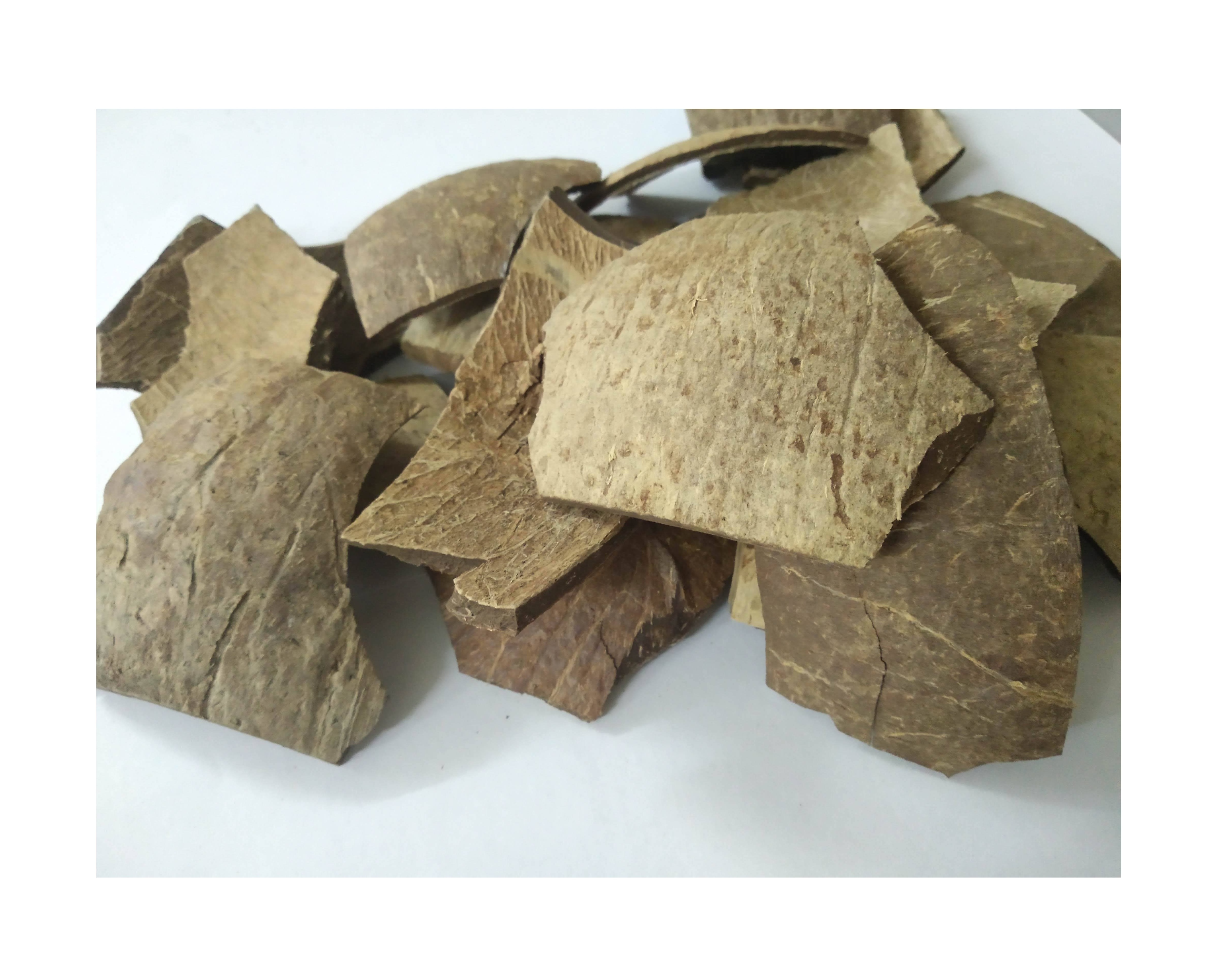 Top Selling Dried Coconut Shell For Making Charcoal With High Quality