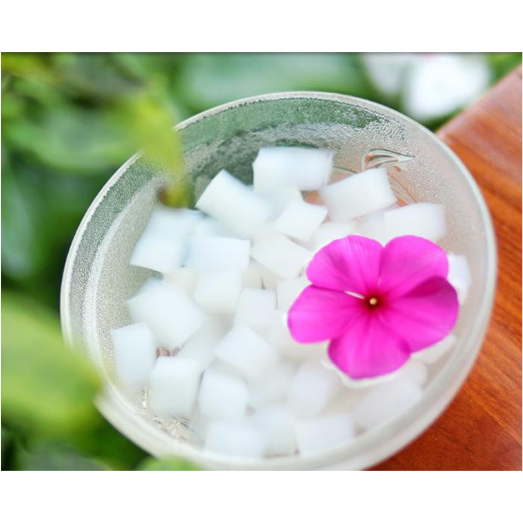 Special Price NATA DE COCO in syrup Fruit pudding Wholesale Coconut jelly Made in Viet Nam 100% Natural High-quality Product