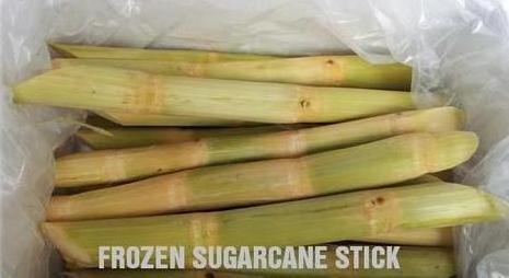 FROZEN SUGARCANE STICK BEST PRICE FROZEN SUGAR CANE FOR WHOLESALER HIGH STANDARD FOR EXPORT