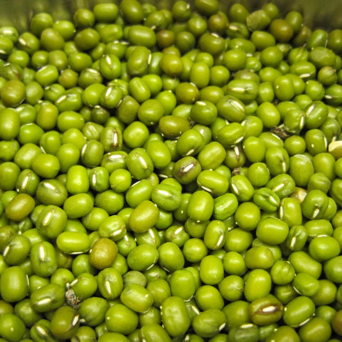 Best seller Green Mung Beans / Vigna Mung Beans Premium Quality/ Natural Mung Beans Green for Export