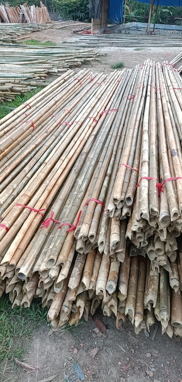 Hot Selling Bamboo poles sticks wholesale price Raw Bamboo Poles for Gardening and Decoration Bamboo Pole