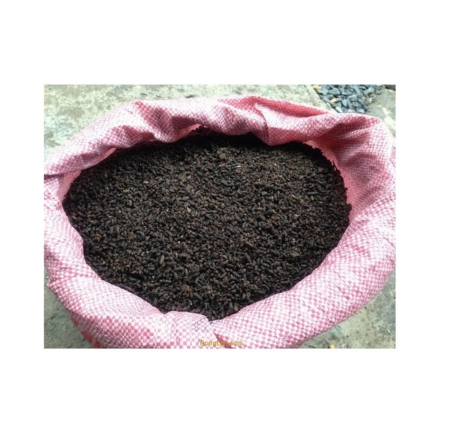 VIETNAM ORGANIC GUANO BAT FERTILIZER BEST PRICE HIGH QUALITY BAT GUANO FERTILIZER VIETNAM //Rachel: +84896436456