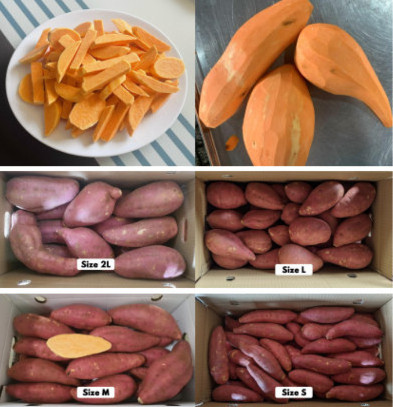 Frozen Sweet Potato A Versatile Ingredient for Your Meals made in Vietnam