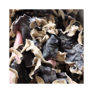 Competitive Price Vietnamese Dry Mushroom Dried Oyster Mushroom Good Quality Shiitake mushroom for food from supplier in Vietnam