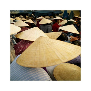 The Bamboo Palm Leaf Conical Hat Wholesale High Quality From 99 Gold Data