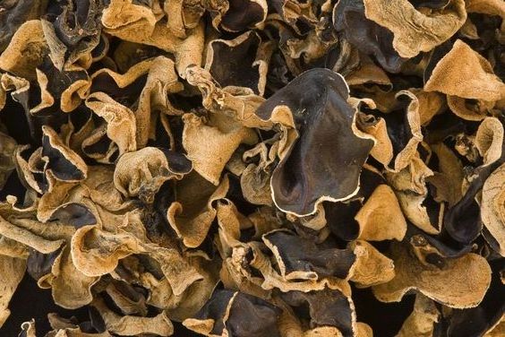 Vietnamese Dried Shiitake Mushroom Dried Mushroom Best price for export