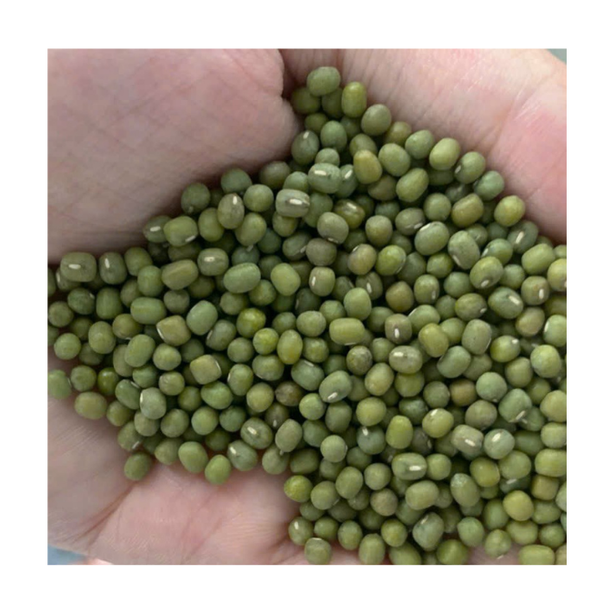 Best seller Green Mung Beans / Vigna Mung Beans Premium Quality/ Natural Mung Beans Green for Export