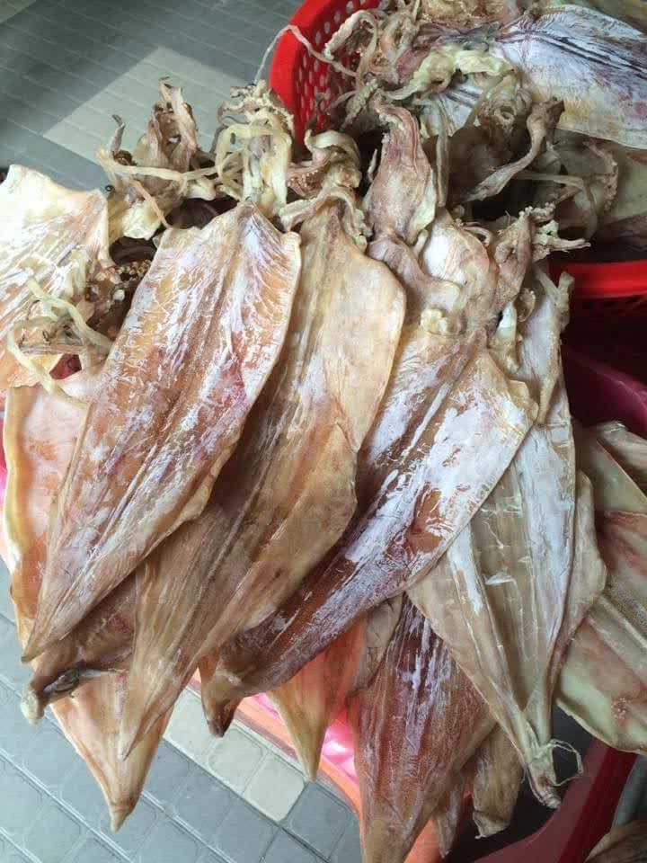 Various Size Dried Squid From Vietnam