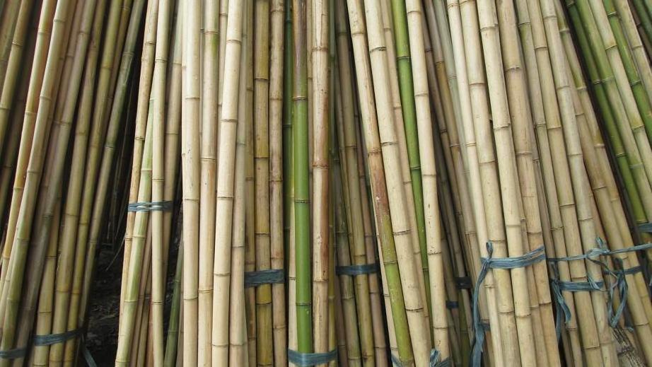 Wholesale home decor natural bamboo slats stakes bamboo raw materials cane strips stick malacca trunks cane bamboo roots pole