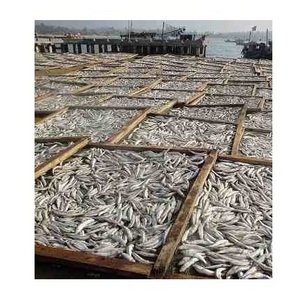 Factory Professional Production Bulk Dried Anchovy Dried Salted Anchovy Dry Anchovy Fish