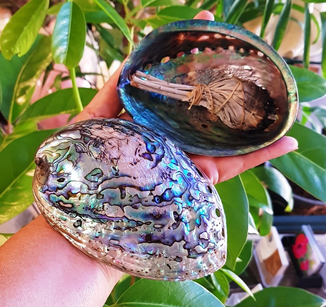 Wholesale Bulk of Polished Abalone Sea Shell Sage Smudging Bowl Healing Home Decor (WS0084587176063)