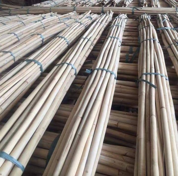 Wholesale 18mm to 50mm Polished Rattan Manau Cane Poles 100% Nature Dry Straight Rattan Bamboo pole for sale