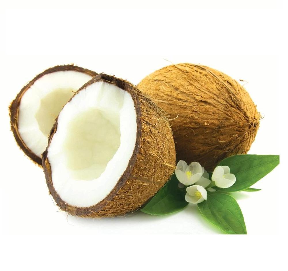 Mature Coconut/Fresh Tender Coconut Semi Husked Coconut (WS: 0084987731263)