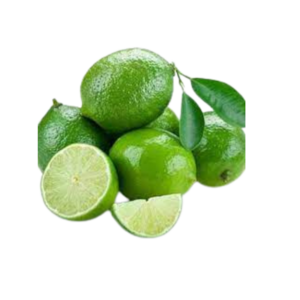 Hot sale Fresh Citrus Fruit SEEDLESS LIME FOR EXPORT WITH CHEAP PRICE