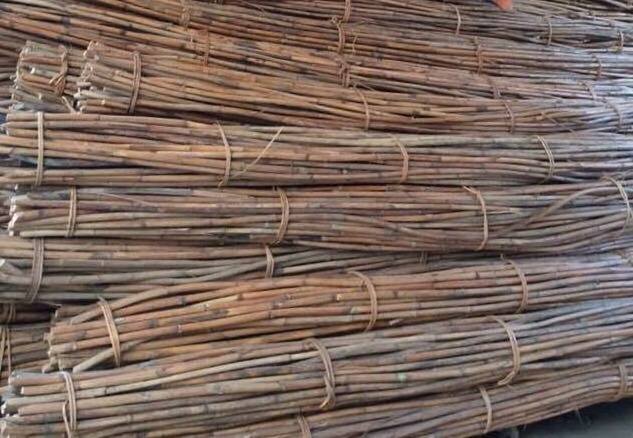 Manau Rattan Skin Peel Cane Rattan Pole Best Choice For Furniture Minimalist At Best Price For Exporting Made In Vietnam