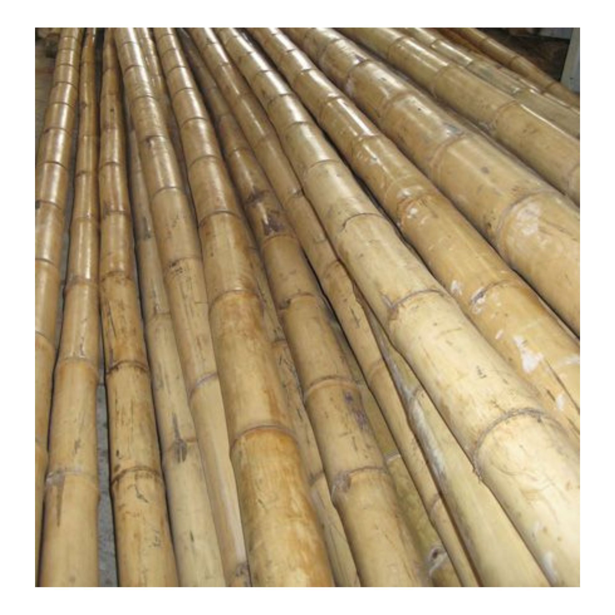 Factory Wholesale Cheap Price Natural Artificial Bamboo Poles Vietnam For Indoor Outdoor Decoration Bamboo Pole