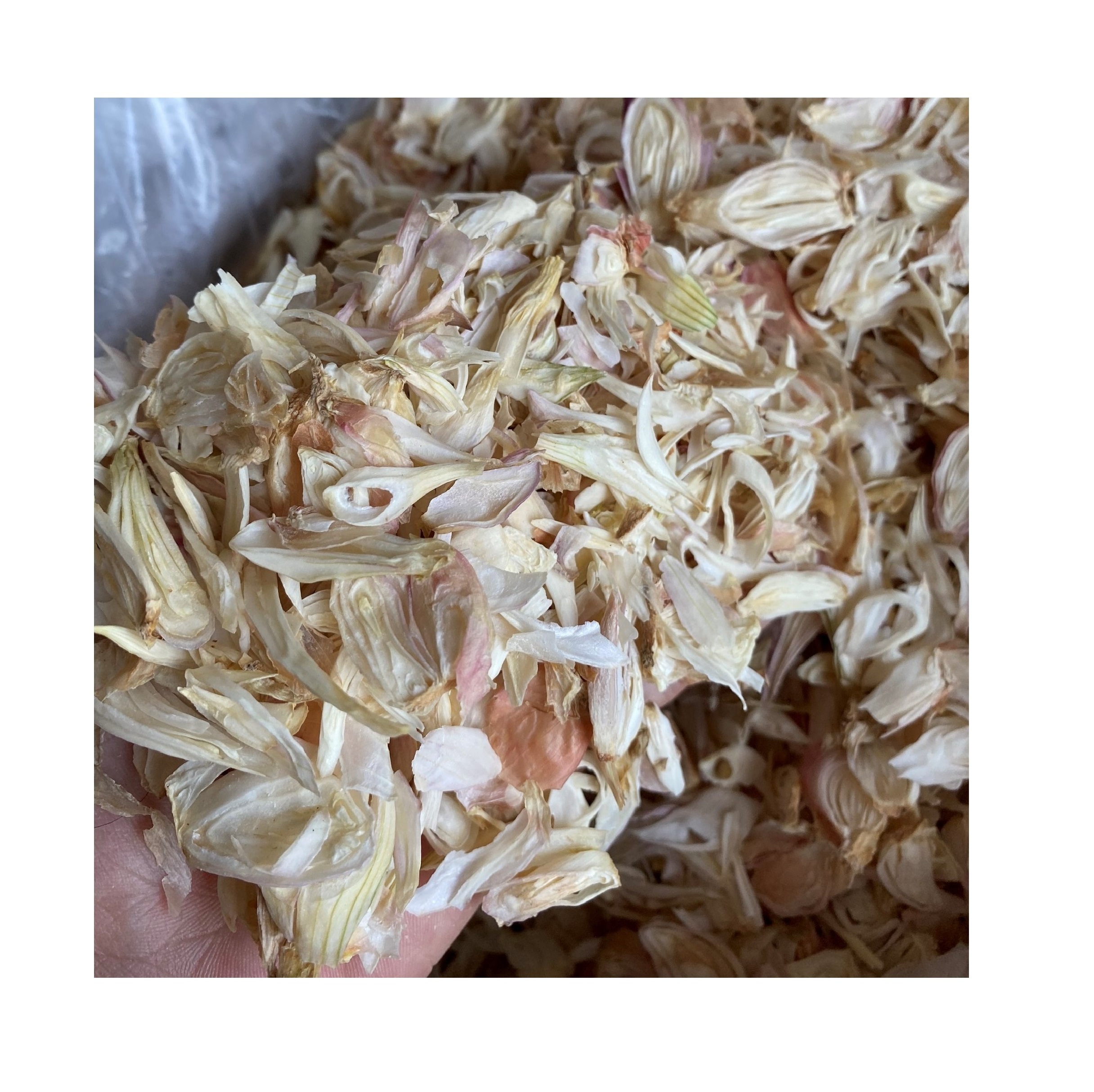 Organic Dried Shallot Dried Red Onion Wholesale Lyophilization Vegetables High Quality From Vietnam