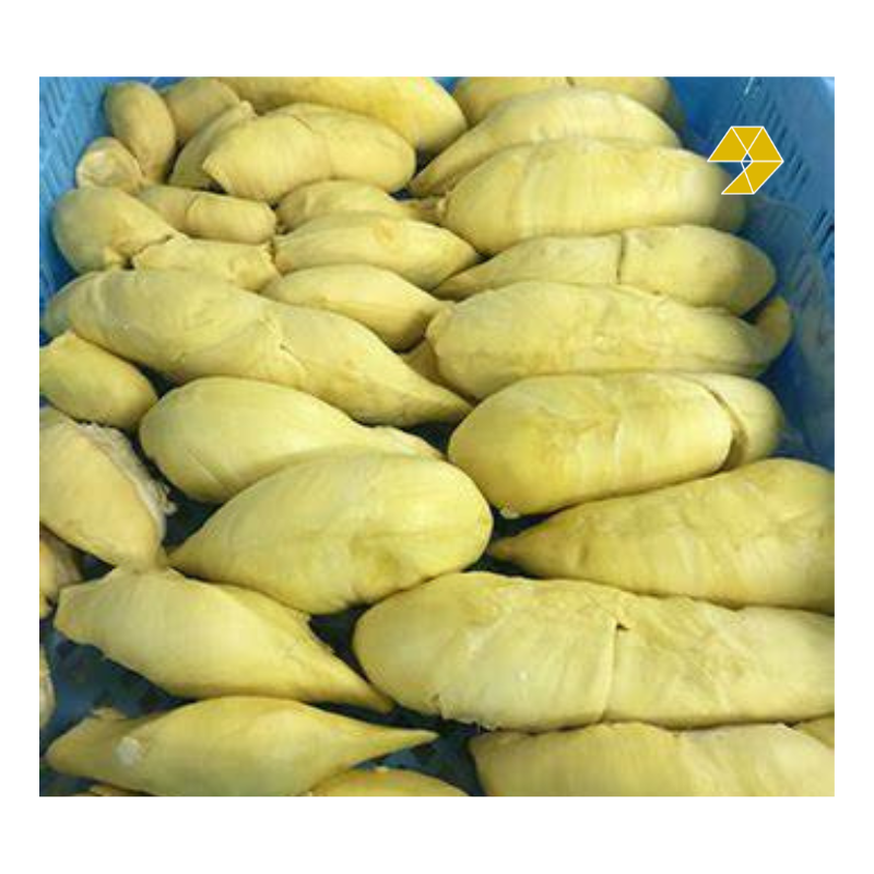 Durian Monthong/Ri6 Frozen Premium Fresh Whole Durian For Export - Frozen Durian Pulp/Meat From Vietnam