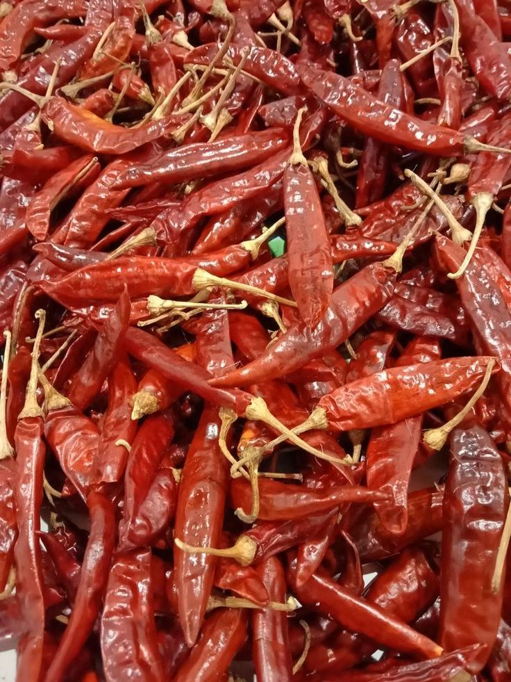 Exported Dried Whole Chili Pepper For Spices Kitchen/ Dried Red Chilli Premium Quality For Export