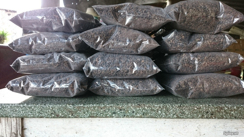 VIETNAM ORGANIC GUANO BAT FERTILIZER BEST PRICE HIGH QUALITY BAT GUANO FERTILIZER VIETNAM //Rachel: +84896436456