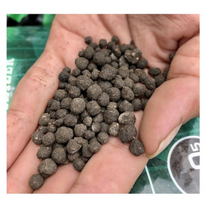 100 % BAT NATURAL GUANO BEST PRICE HIGH QUALITY BAT GUANO FERTILIZER VIETNAM //Rachel: +84896436456