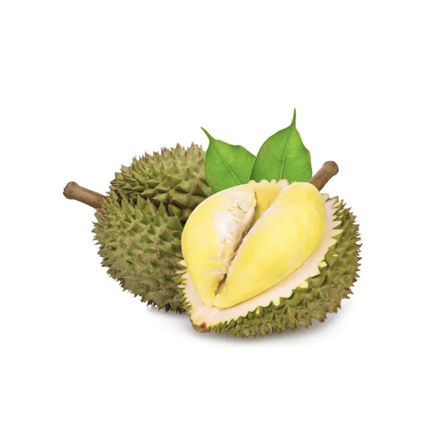 OEM FROZEN DURIAN FRESH TASTE, SWEET, BULK STYLE, ORGANIC AIR PACKED NEW HARVEST FROM VIETNAM