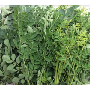 Fast Delivery Dried Moringa Leaves And Powder At Good Price Exporter From Viet Nam