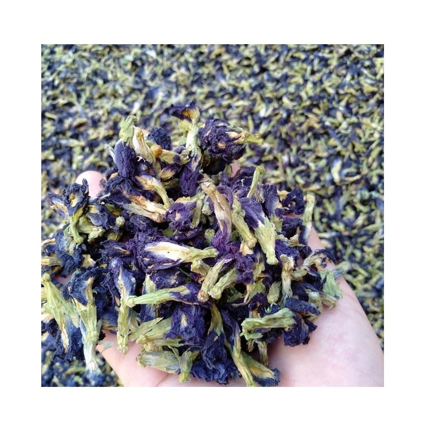 Butterfly Pudding Tea Blue Butterfly Pea Dried Flower In Tea Bag Best Quality For Exporting 2021 From Vietnam