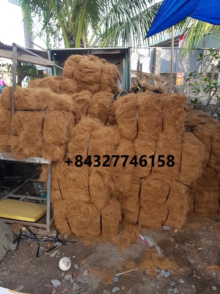 Eco friendly 100% Natural Coir fiber of Coconut / coir fiber bales export from Vietnam/ NATURAL COIR FIBER