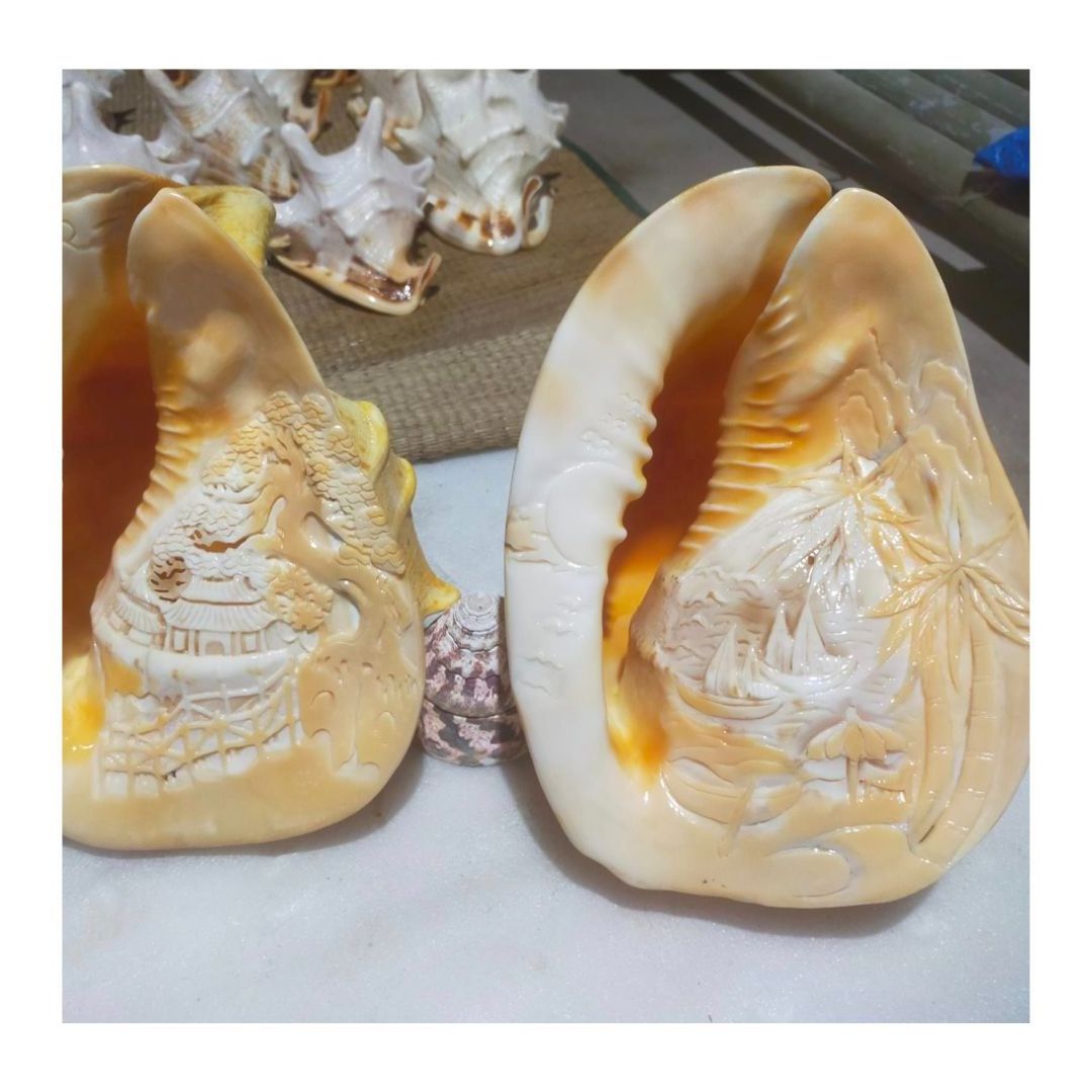 GOOD PRICE TOP SALE SEASHELL HANDICRAFT - NATURAL HANDMADE SEASHELL SOUVENIR PURCHASING WITH DEEP CHEAP PRICE