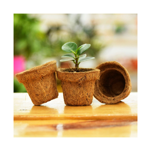 Natural Coconut fiber pots/Coir Pot for nursery - Eco-friendly Product Competitive Price Seedling Pot