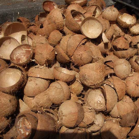 BEST PRICE COCONUT SHELL/ HALF & CRUSHED TYPE