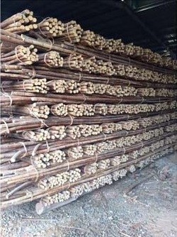 100% Nature Dry Straight Rattan Bamboo pole for sale- Wholesale 18mm to 50mm Polished Rattan Manau Cane Poles