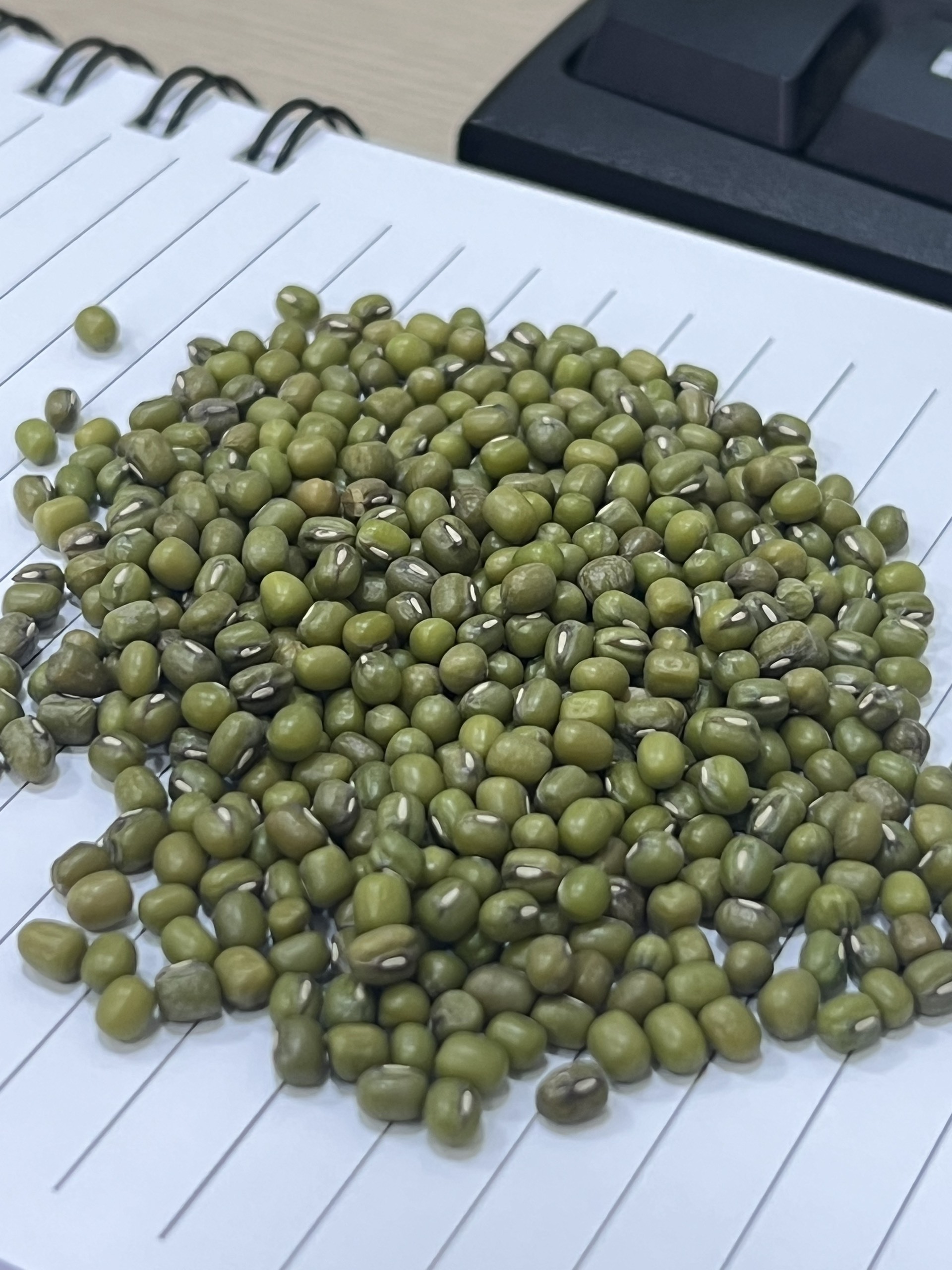 Best seller Green Mung Beans / Vigna Mung Beans Premium Quality/ Natural Mung Beans Green for Export