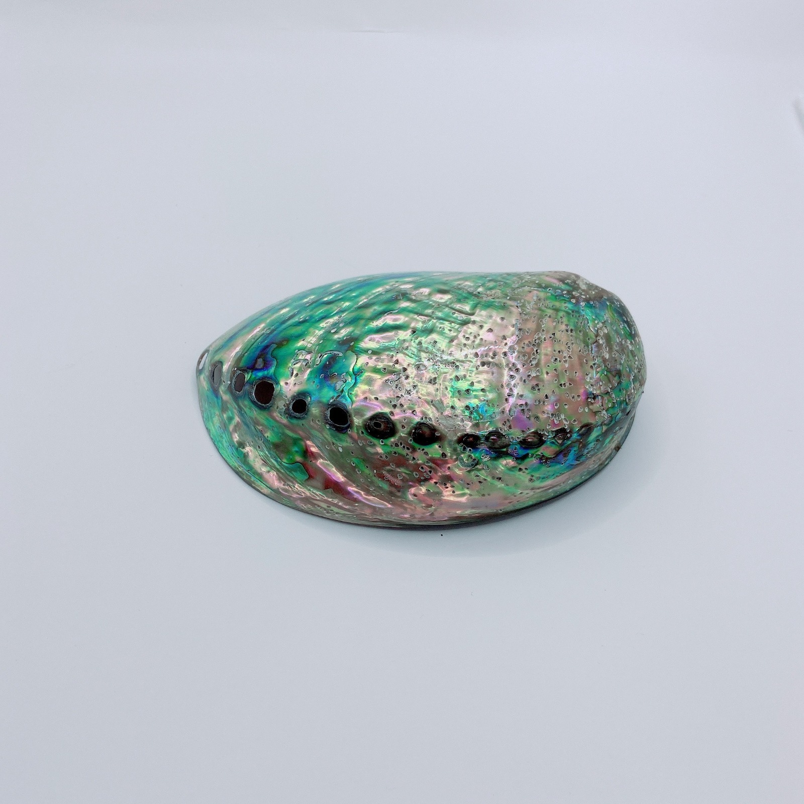 High Quality Abalone Shell for Bowl Gift and Decoration Abalone Shell for Incense and Cleansing Colorful Abalone Shells Sage Dis