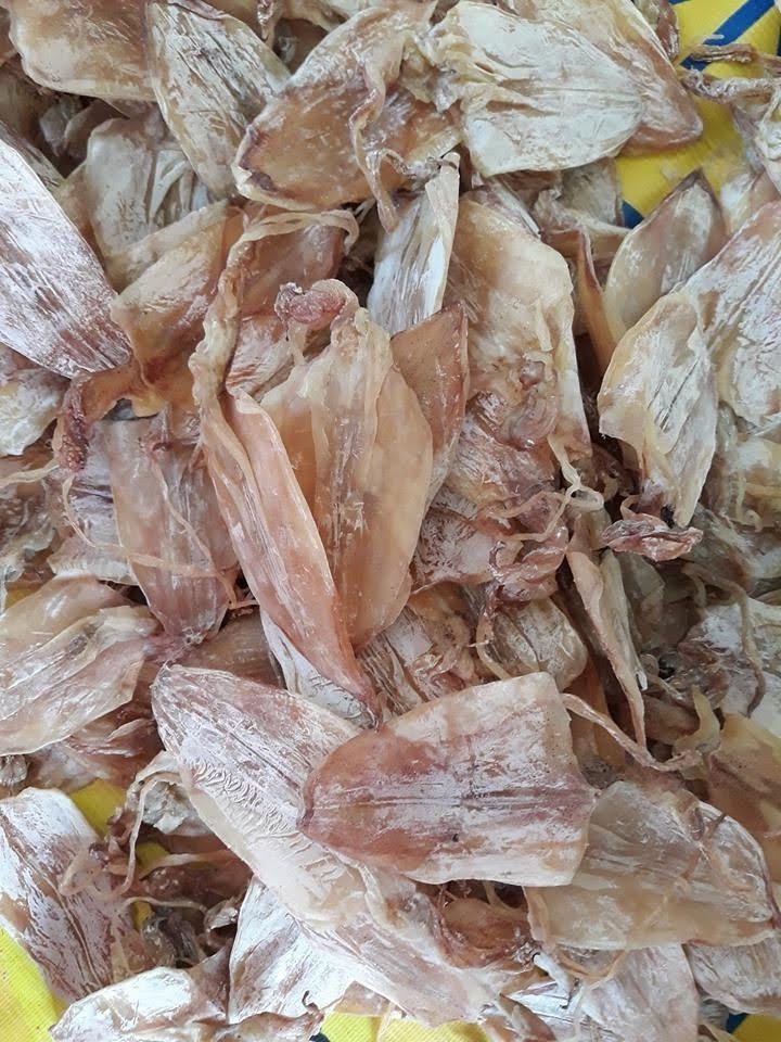 Various Size Dried Squid From Vietnam