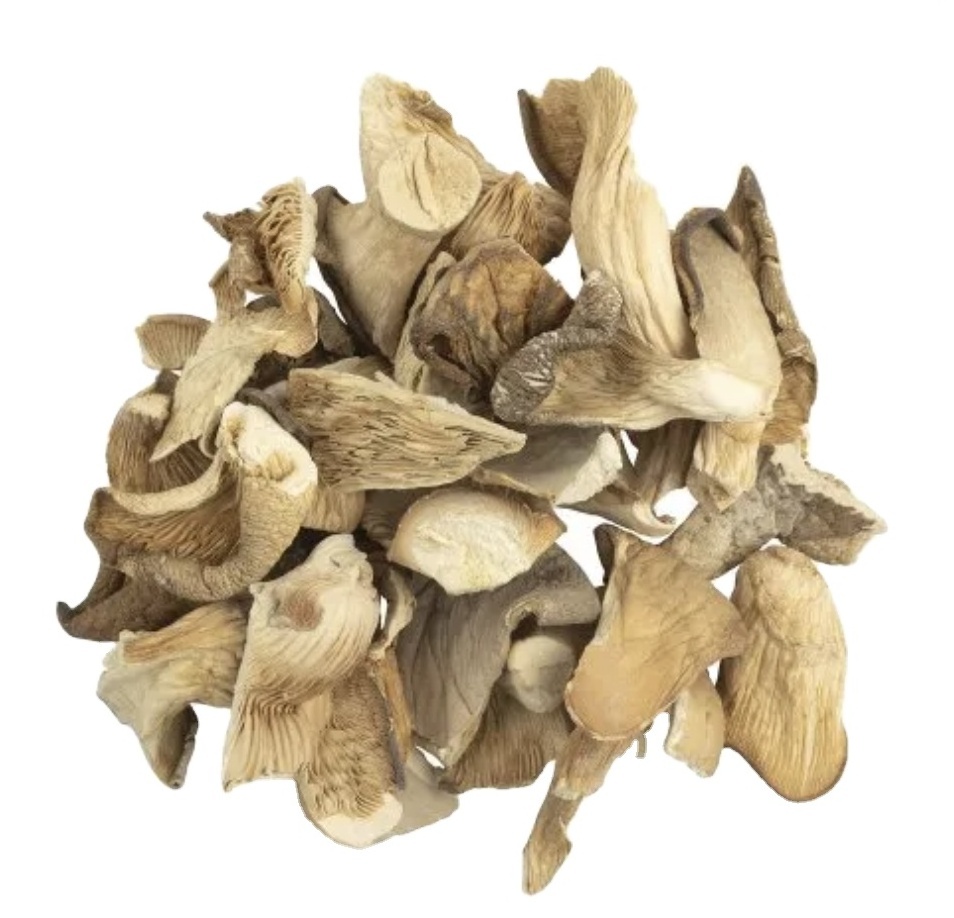 VIETNAMESE DRIED STYLE OYSTER MUSHROOM BEST QUALITY MUSHROOM SELL IN BULK