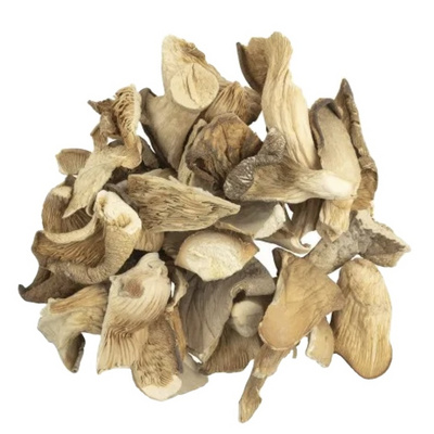 VIETNAMESE DRIED STYLE OYSTER MUSHROOM BEST QUALITY MUSHROOM SELL IN BULK