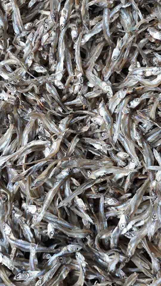 Dry Stock Fish ,Smoked Catfish,Dried Anchovies and others available