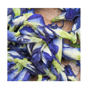 Butterfly Pudding Tea Blue Butterfly Pea Dried Flower In Tea Bag Best Quality For Exporting 2021 From Vietnam